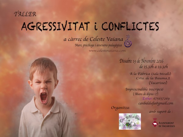 Agresividad y Conflictos