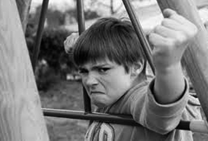 Agresividad y Conflictos II