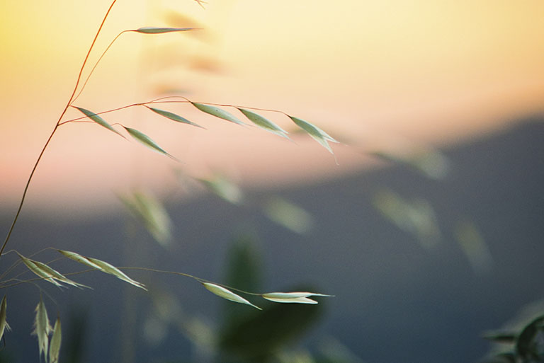 El duelo Celeste Vaiana