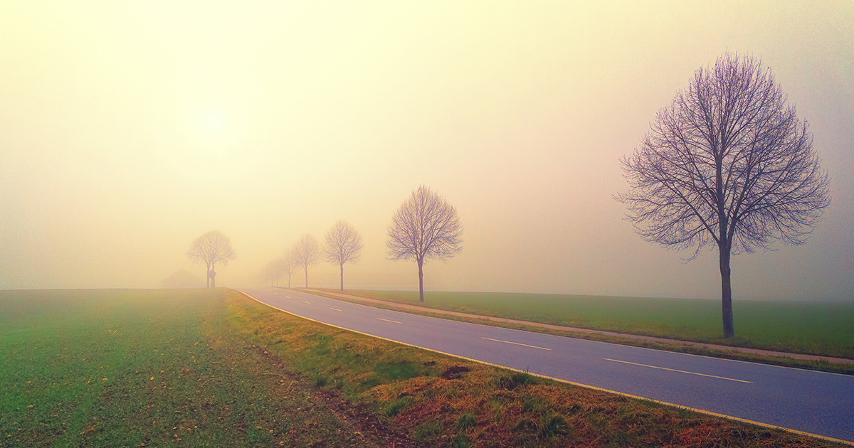 Escoger el camino - Celeste Vaiana